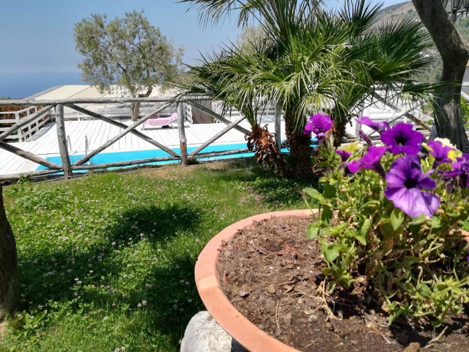 Il Casale Del Golfo Apartman Vico Equense Kültér fotó
